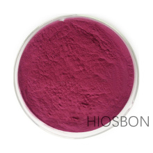 Instant blueberry powder mixed with baked goods grade fruit and vegetable powder and blueberry powder